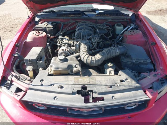 2007 FORD MUSTANG 1ZVFT80N575212561 Photo 9