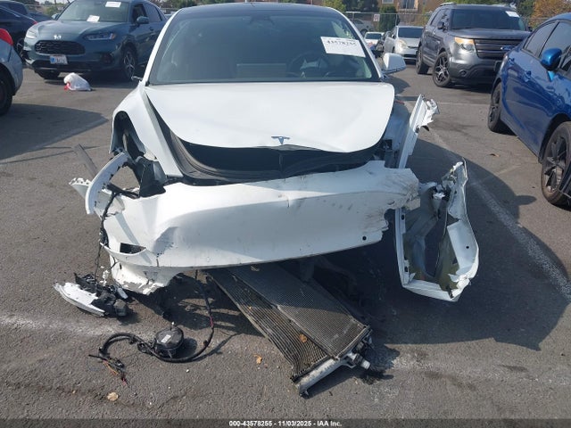 43578255 :رقم المزاد ، 5YJ3E1EA8LF804543 vin ، 2020 Tesla Model 3 Standard Range Plus Rear-wheel Drive/standard Range Rear-wheel Drive مزاد بيع