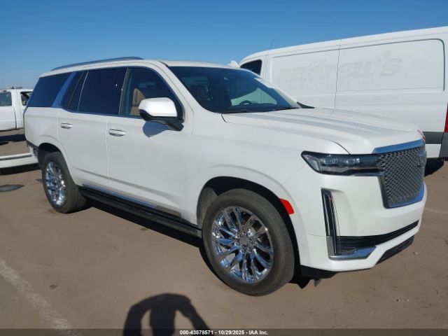 2023 CADILLAC ESCALADE 1GYS4CKL0PR287569