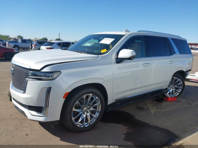 2023 CADILLAC ESCALADE 1GYS4CKL0PR287569 Photo 1