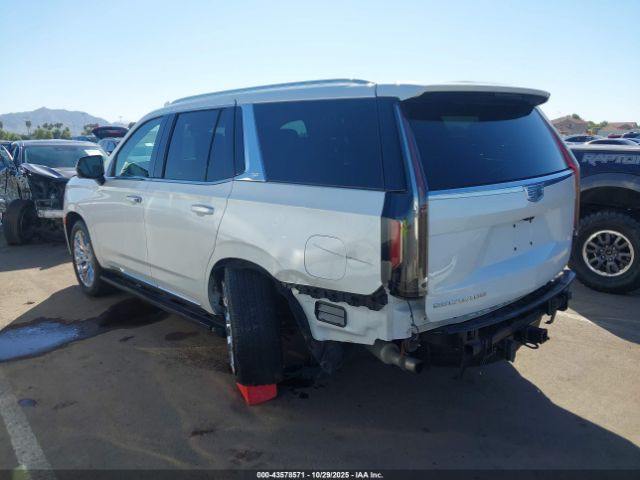 2023 CADILLAC ESCALADE 1GYS4CKL0PR287569 Photo 2