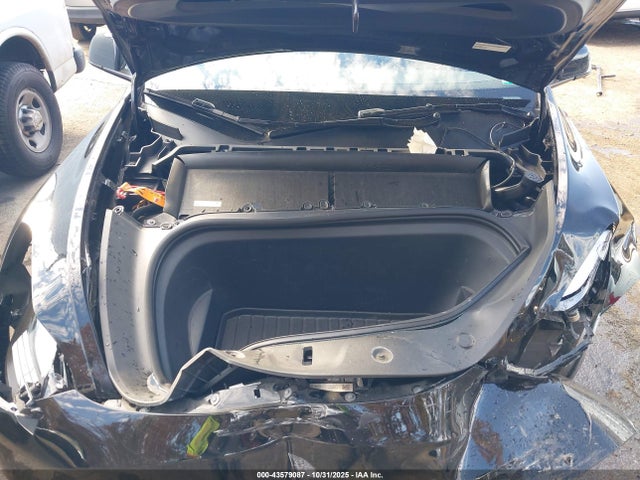 2024 TESLA MODEL Y 7SAYGDEEXRA218228 Photo 9