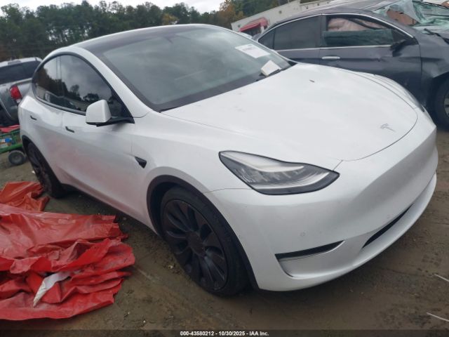 2021 TESLA MODEL Y 5YJYGDEF5MF073116