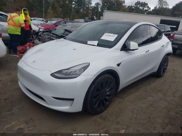 2021 TESLA MODEL Y 5YJYGDEF5MF073116 Photo 1