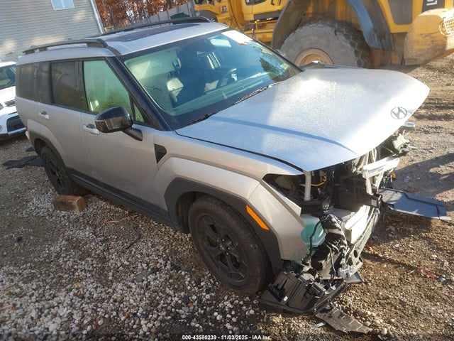 Hyundai Santa Fe Xrt 2024 5NMP3DGL8RH040269 Image 19