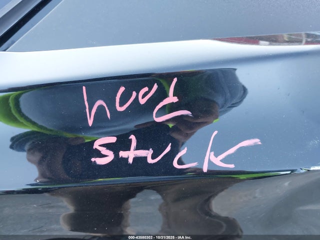 2021 TESLA MODEL 3 5YJ3E1EA3MF915101 Photo 9