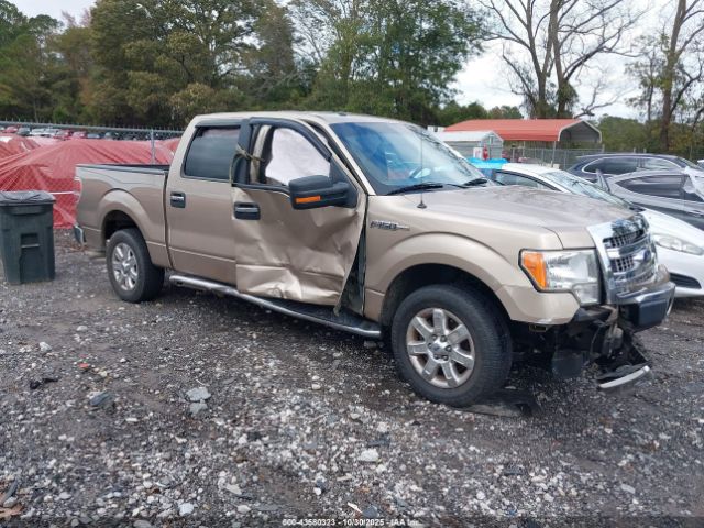 2013 FORD F-150 1FTFW1CF8DFC25171