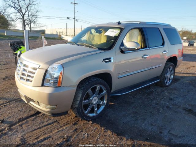 2007 CADILLAC ESCALADE 1GYFK63867R419060 Photo 1