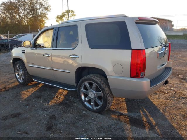 2007 CADILLAC ESCALADE 1GYFK63867R419060 Photo 2