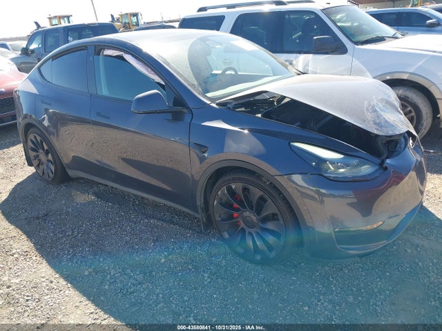 2023 TESLA MODEL Y 7SAYGDEF8PF863923 Photo 0