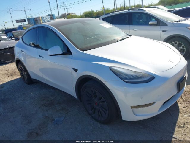 2021 TESLA MODEL Y 5YJYGAEE5MF212702 Photo 0