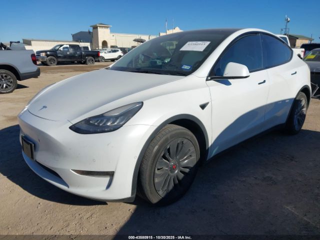 2021 TESLA MODEL Y 5YJYGAEE5MF212702 Photo 1