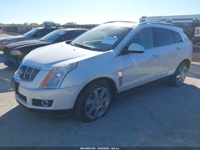 2010 CADILLAC SRX 3GYFNFEY9AS651676 Photo 1