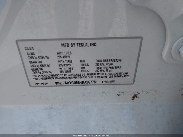 2024 TESLA MODEL Y 7SAYGDEE4RA267781 Photo 8