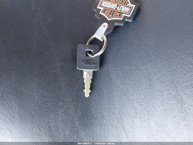 2007 HARLEY-DAVIDSON XL1200 1HD1CX3117K441352 Photo 10