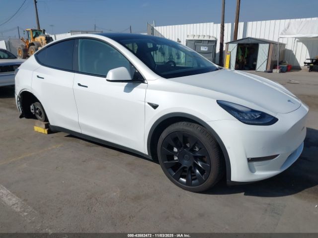 2021 TESLA MODEL Y 5YJYGDEE0MF259637 Photo 0