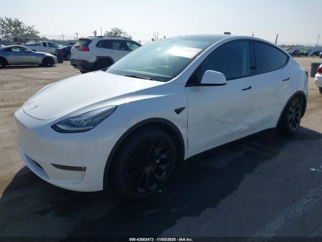 2021 TESLA MODEL Y 5YJYGDEE0MF259637 Photo 1