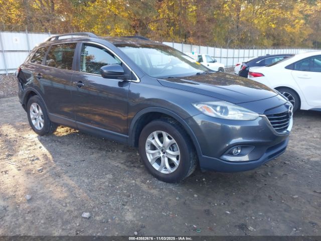 2013 MAZDA CX-9 JM3TB2CA1D0401156