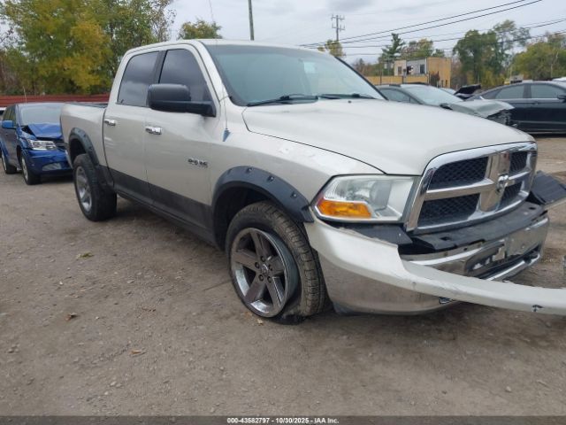 2009 DODGE RAM 1500 1D3HV13T99J526013
