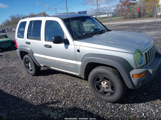 2002 JEEP LIBERTY 1J4GL48K52W270273