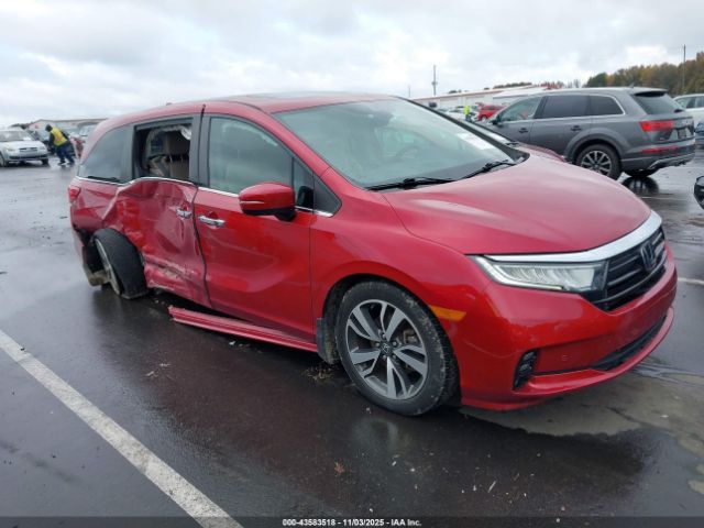 2023 HONDA ODYSSEY 5FNRL6H8XPB014625