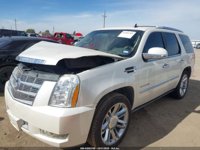 2011 CADILLAC ESCALADE 1GYS4DEF9BR153406 Photo 1