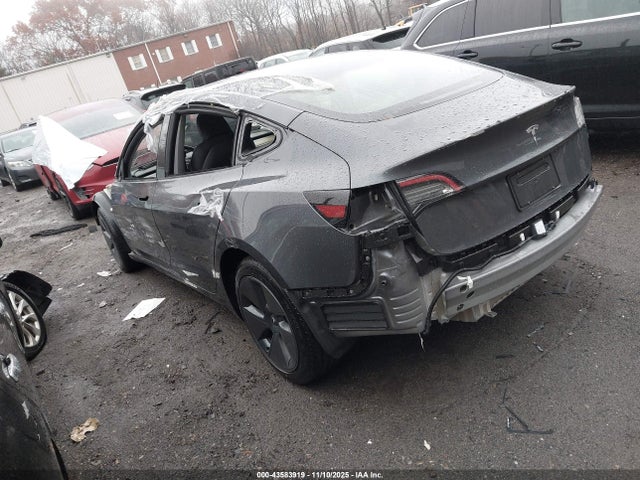 2023 TESLA MODEL 3 5YJ3E1EA0PF667846 Photo 2