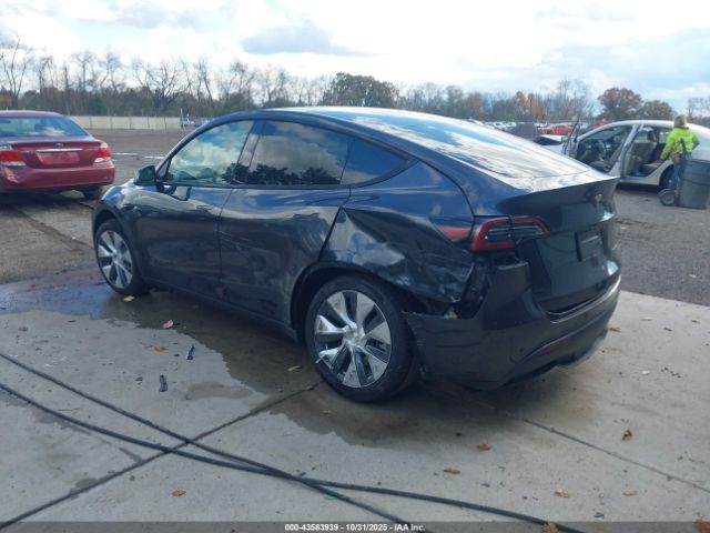 2024 TESLA MODEL Y 7SAYGDEE2RA280447 Photo 2