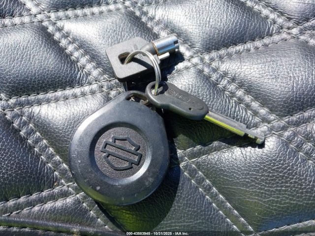 2011 HARLEY-DAVIDSON FLHXSE2 1HD1PZ811BB960872 Photo 10