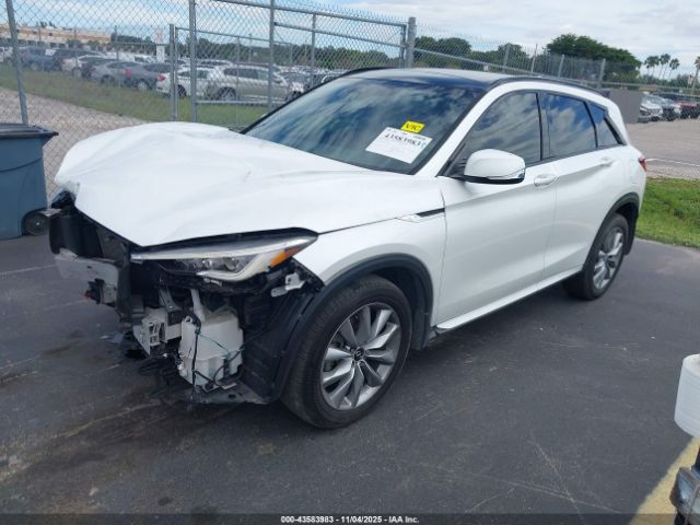 2024 INFINITI QX50 3PCAJ5FA2RF102106 Photo 1