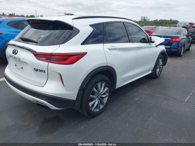 2024 INFINITI QX50 3PCAJ5FA2RF102106 Photo 3