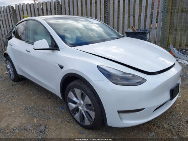 2023 TESLA MODEL Y 7SAYGDEE2PA192866 Photo 0