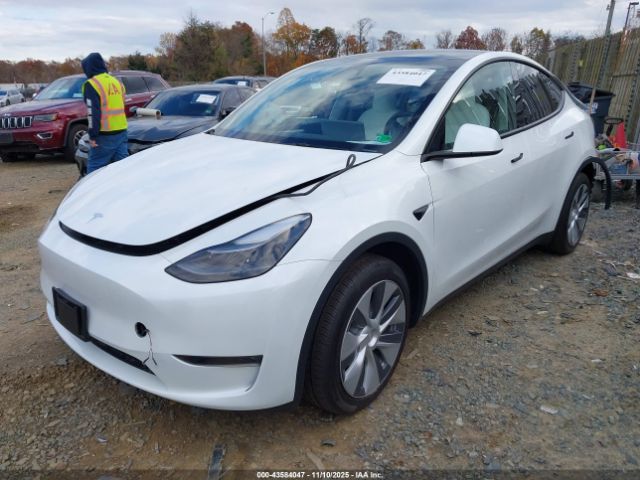 2023 TESLA MODEL Y 7SAYGDEE2PA192866 Photo 1