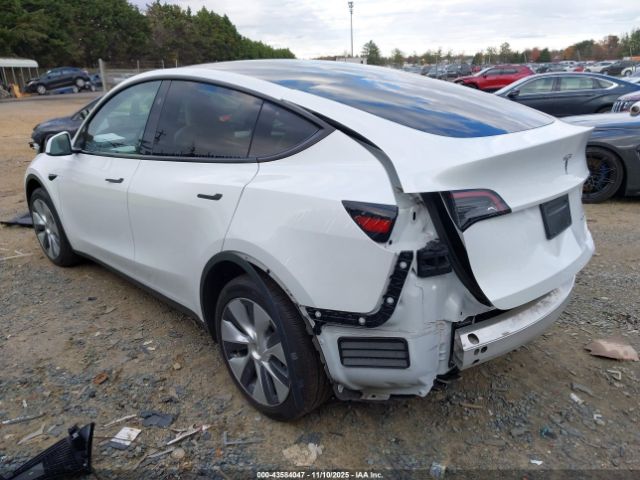 2023 TESLA MODEL Y 7SAYGDEE2PA192866 Photo 2