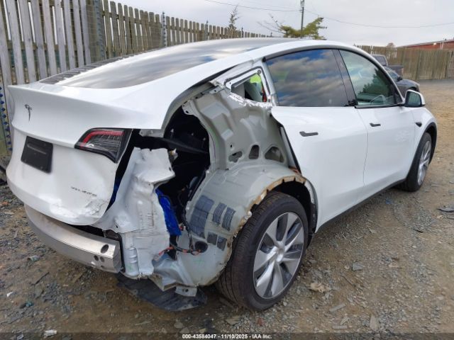 2023 TESLA MODEL Y 7SAYGDEE2PA192866 Photo 3