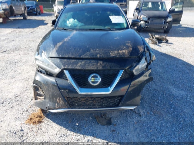 Nissan Maxima 3.5 Platinum 2019 1N4AA6AV2KC367231 Image 13