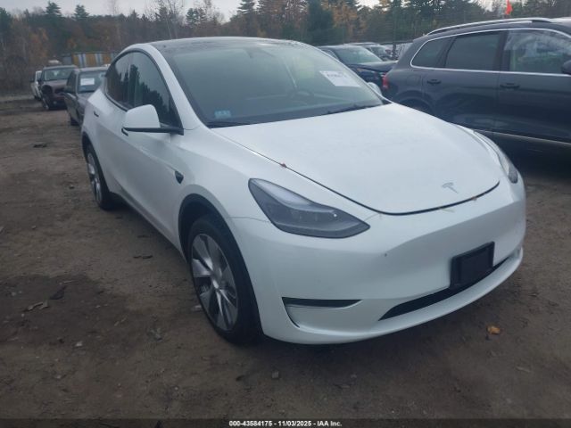 2023 TESLA MODEL Y 7SAYGDEE3PA195310