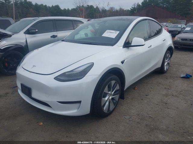 2023 TESLA MODEL Y 7SAYGDEE3PA195310 Photo 1