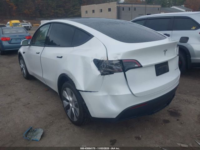 2023 TESLA MODEL Y 7SAYGDEE3PA195310 Photo 2