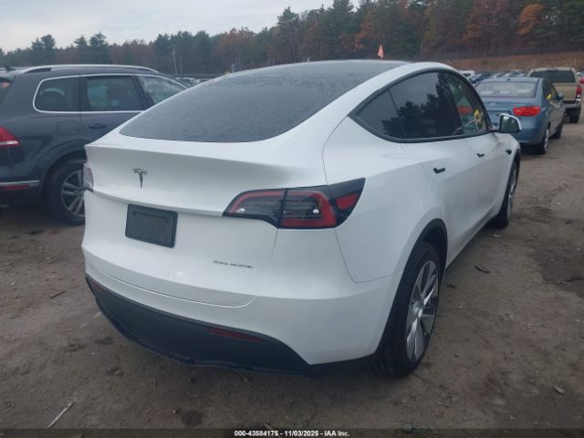 2023 TESLA MODEL Y 7SAYGDEE3PA195310 Photo 3