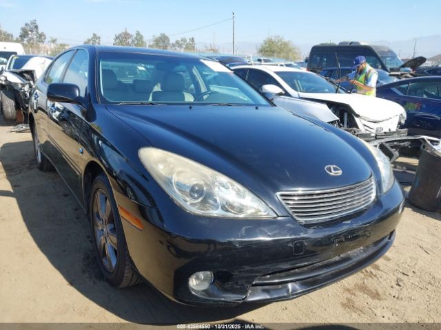 2006 LEXUS ES 330 JTHBA30G165165392