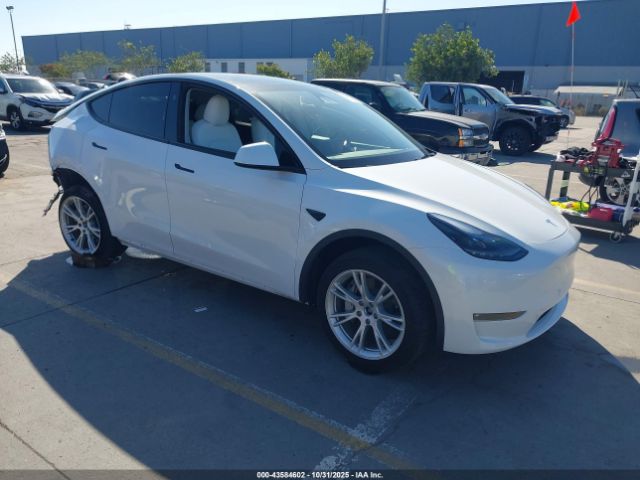 2023 TESLA MODEL Y 7SAYGDEEXPF899328
