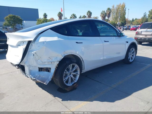 2023 TESLA MODEL Y 7SAYGDEEXPF899328 Photo 3