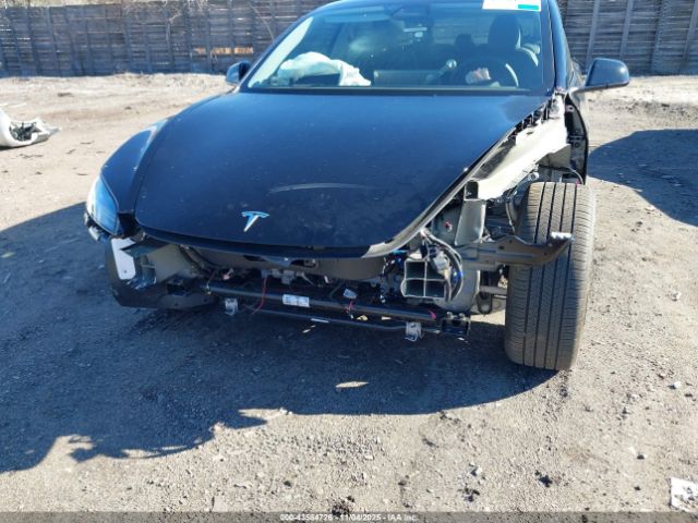 2025 TESLA MODEL 3 5YJ3E1EB8SF910840 Photo 5