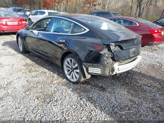 2019 TESLA MODEL 3 5YJ3E1EB0KF195374 Photo 2