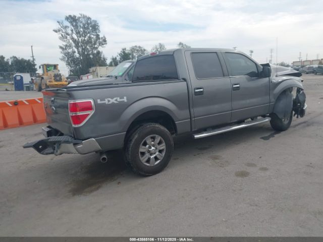2010 FORD F-150 1FTFW1EV1AFD25998 Photo 3