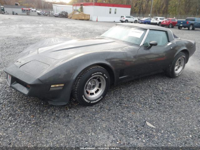 1981 CHEVROLET CORVETTE 1G1AY8766B5103606 Photo 1