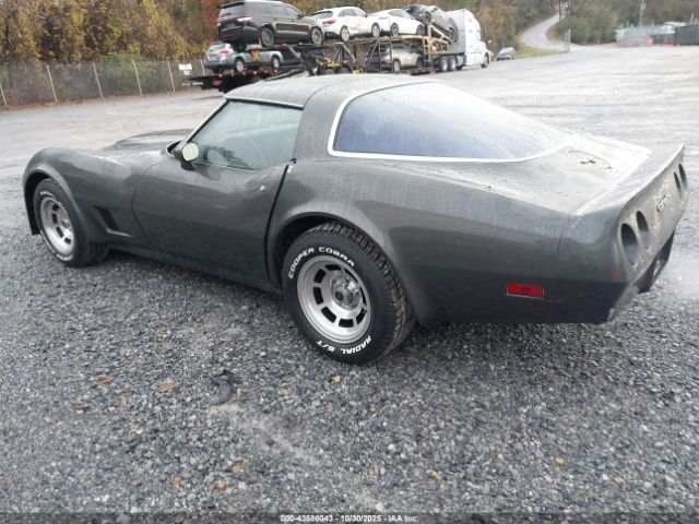 1981 CHEVROLET CORVETTE 1G1AY8766B5103606 Photo 2