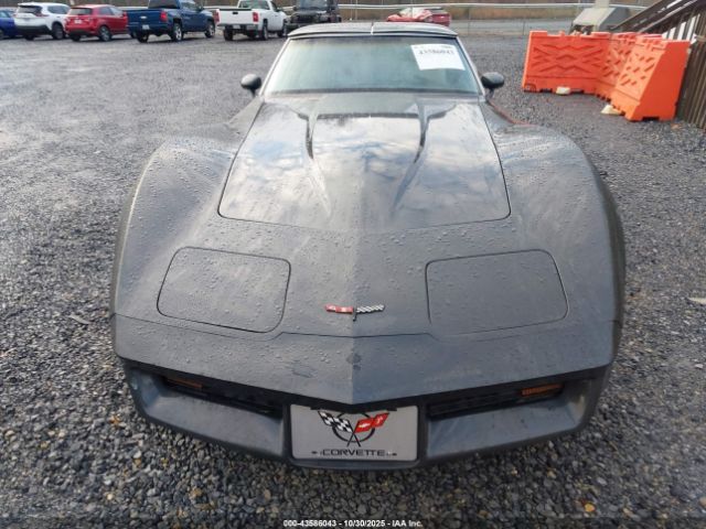 1981 CHEVROLET CORVETTE 1G1AY8766B5103606 Photo 5