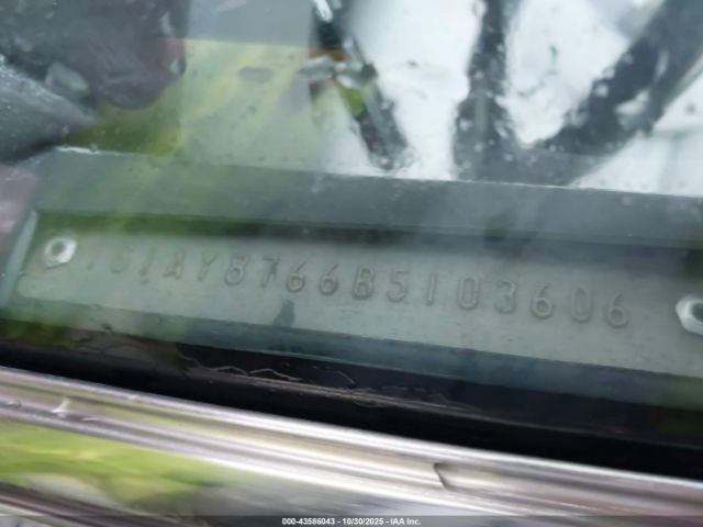 1981 CHEVROLET CORVETTE 1G1AY8766B5103606 Photo 8